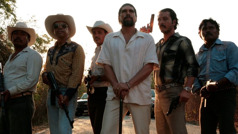 Gallery image from vhbd4jopRvX1rr21PheMUwPOjqX.jpg