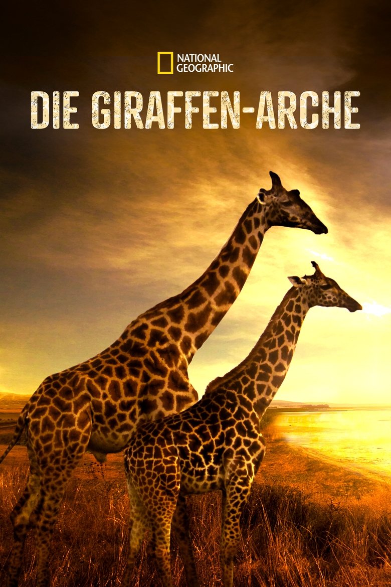Die Giraffen-Arche poster