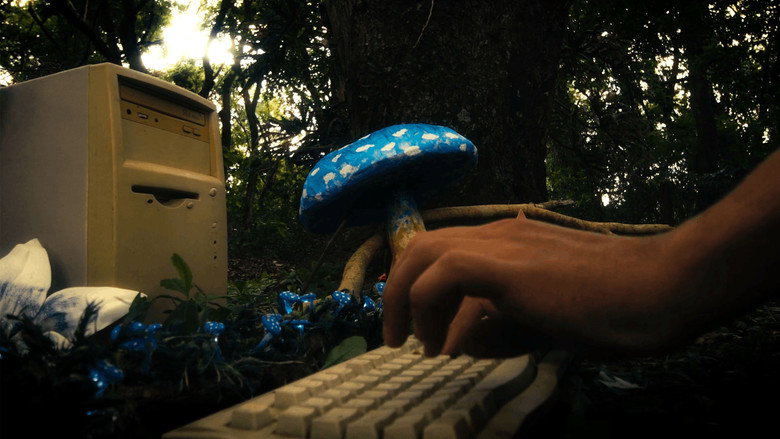 Gallery image from vhkCA0s0hV0PDagRh6ssnqSUb0A.jpg