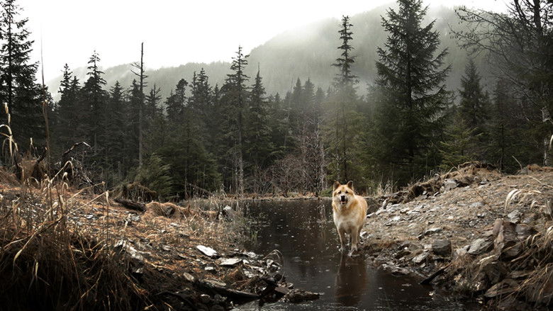 Still image for Port Protection Alaska season 1 episode 8: The Devil's Club Still image for Port Protection Alaska season 1 episode 8: The Devil's Club