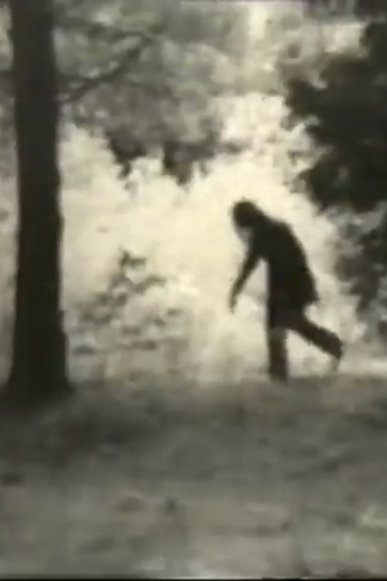Imatge de The Revenge of the Goonie Monster