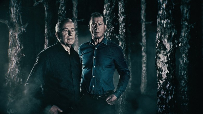 Gallery image from vlY6A9IIzteRMkQ0UA2s8eQKFbD.jpg