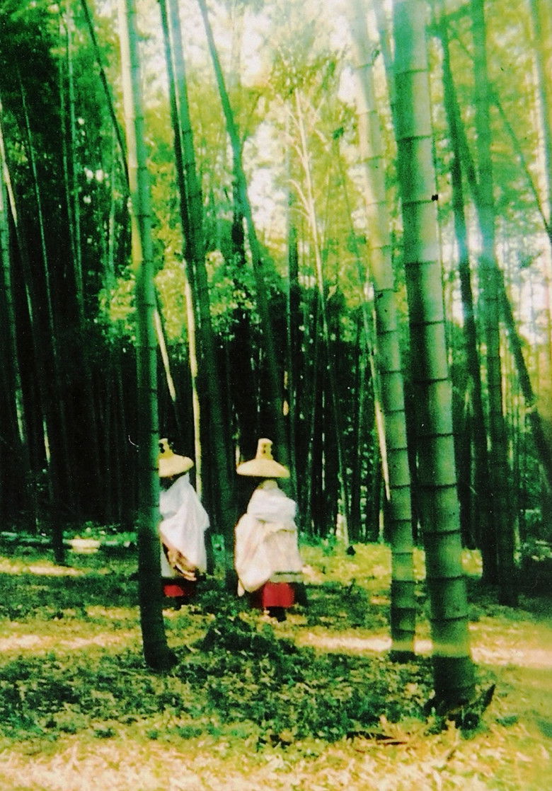 Imatge de 山中常盤ー牛若丸と常盤御前 母と子の物語ー