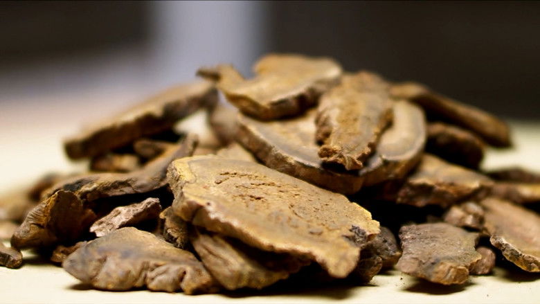 Still image for 本草传 season 1 episode 8: Episode 8