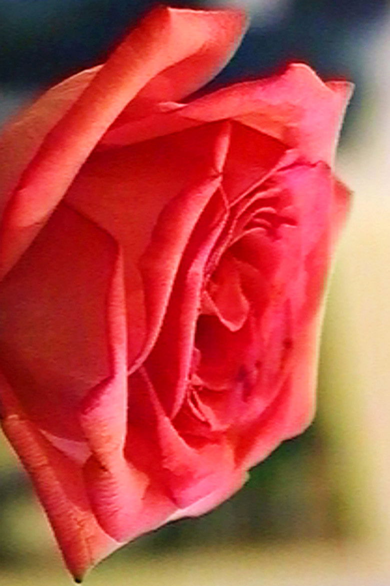 Imatge de With Love – Volume One 1987-1996