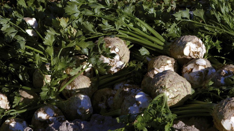 Still image for Food Markets: In the Belly of the City season 1 episode 3: Vienna - Naschmarkt Still image for Food Markets: In the Belly of the City season 1 episode 3: Vienna - Naschmarkt