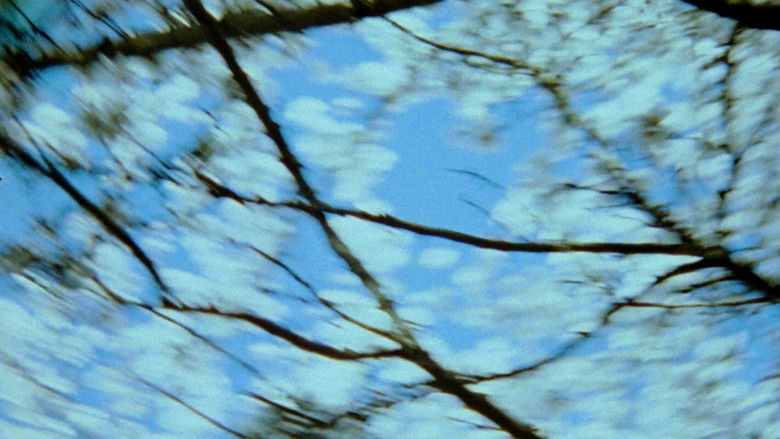 Gallery image from vorqgp4hjddpk15oHQbq0kqq0Vy.jpg