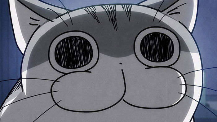 Still image for Nights with a Cat season 1 episode 16: Night 16: When Cats Come to You During Emotional Scenes