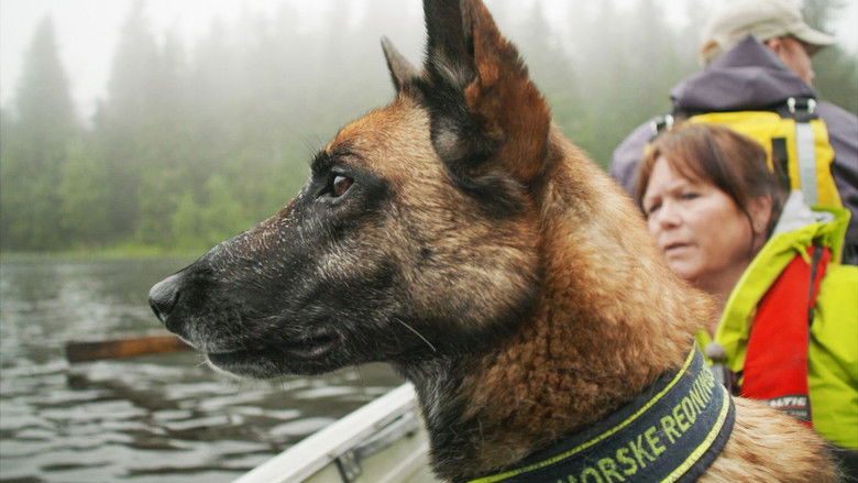 Still image for Redningshundene season 1 episode 3: Searching from boat
