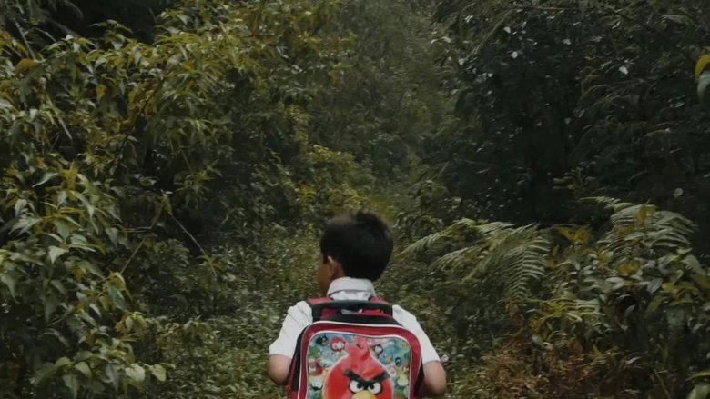 Gallery image from vqaWkMjX5Bn6Xkk37TzjbUQ8mG2.jpg