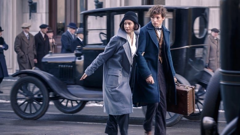 watch Fantastic Beasts and Where to Find Them now