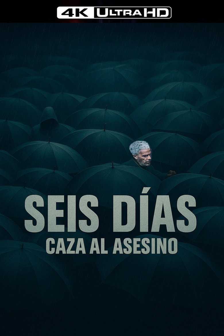 Póster la Película