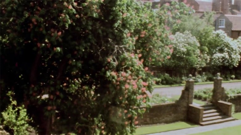 Gallery image from vrwukjuaG1xnIqR0xv7HzvgxZcM.jpg