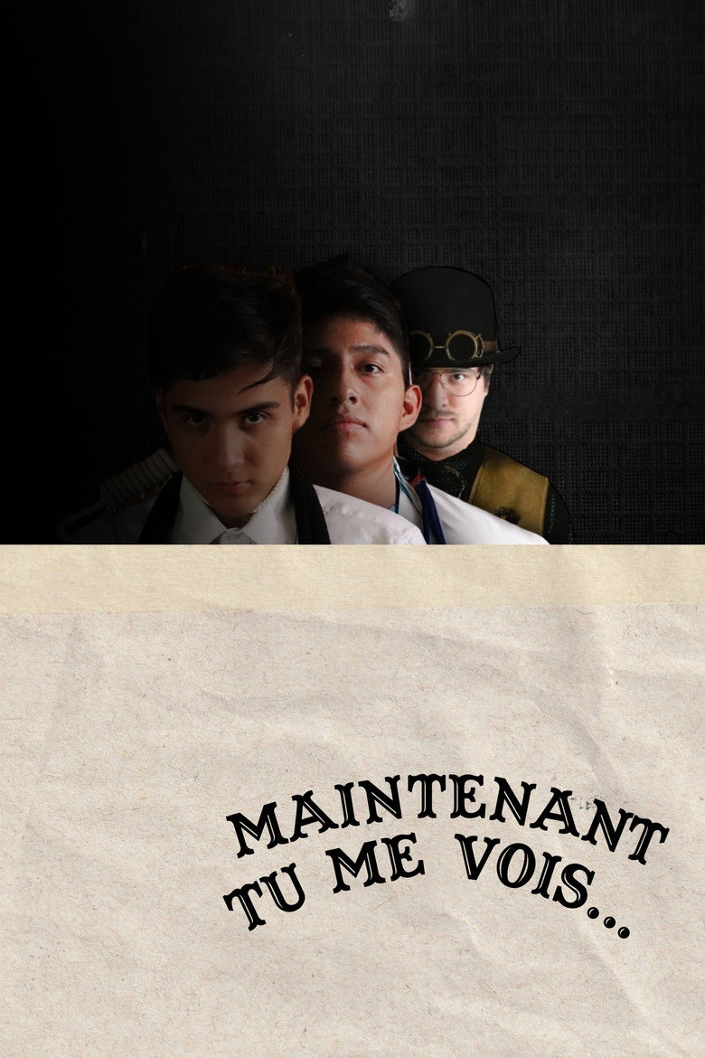 Affiche de MAINTENANT TU ME VOIS...