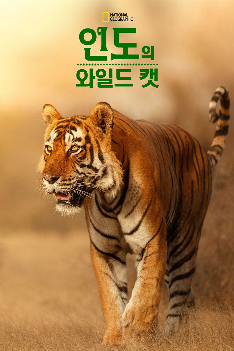 인도의 와일드 캣
