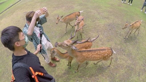 Still image for Long Time No See, Japan season 1 episode 5: Episode 5