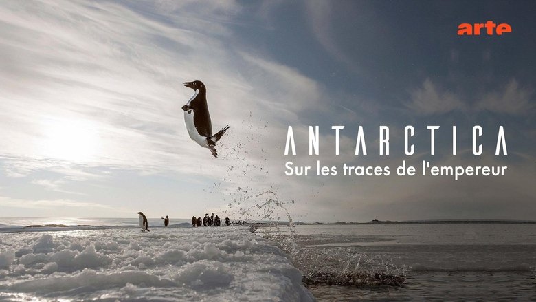 Antarctica, in the footsteps of the Emperor (2016)