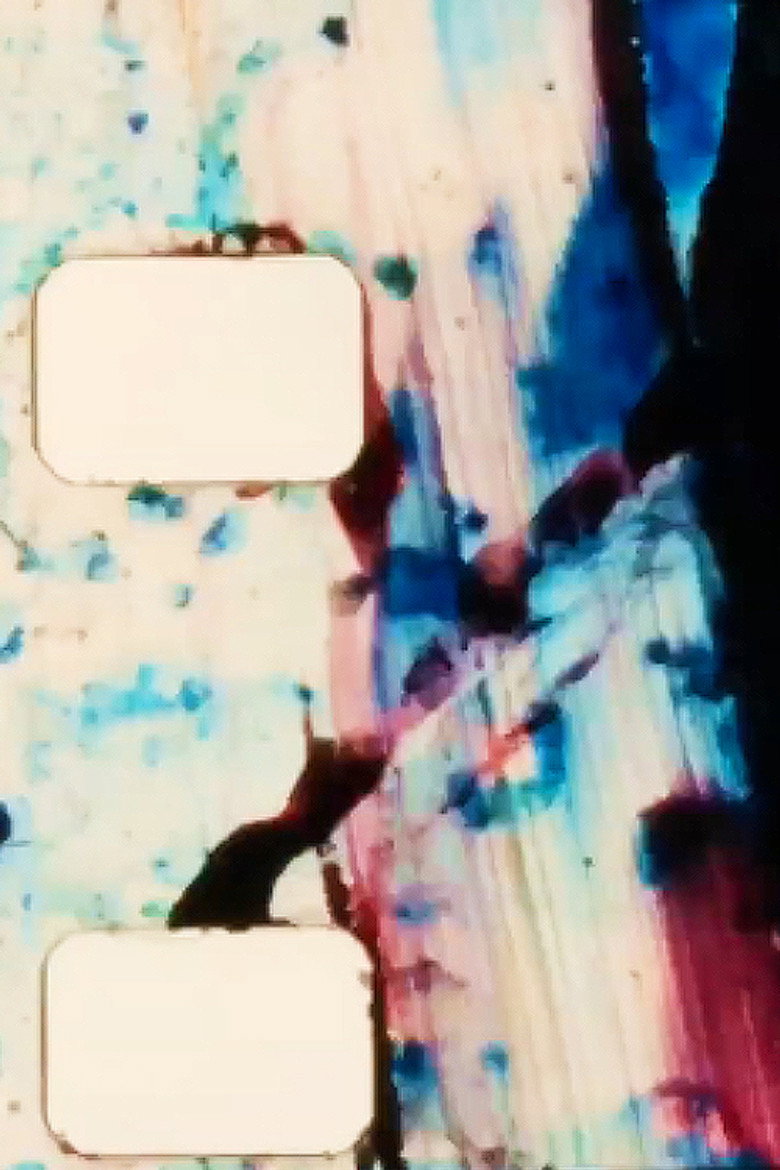 i.a.n.m.s.a.m. background