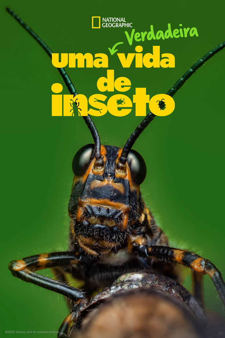 Póster la Serie
