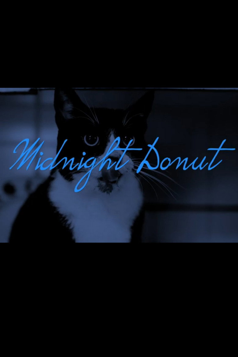 Midnight Donut background