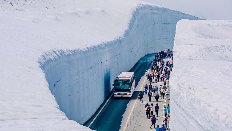 Naomi v Japonsku Sezóna 3 Epizoda 18 bombuj