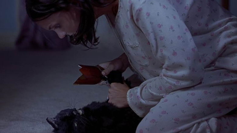 Vwkk9dyupvqei7rkey7gg371dwi