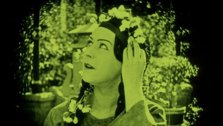 The Red Lantern (1919)
