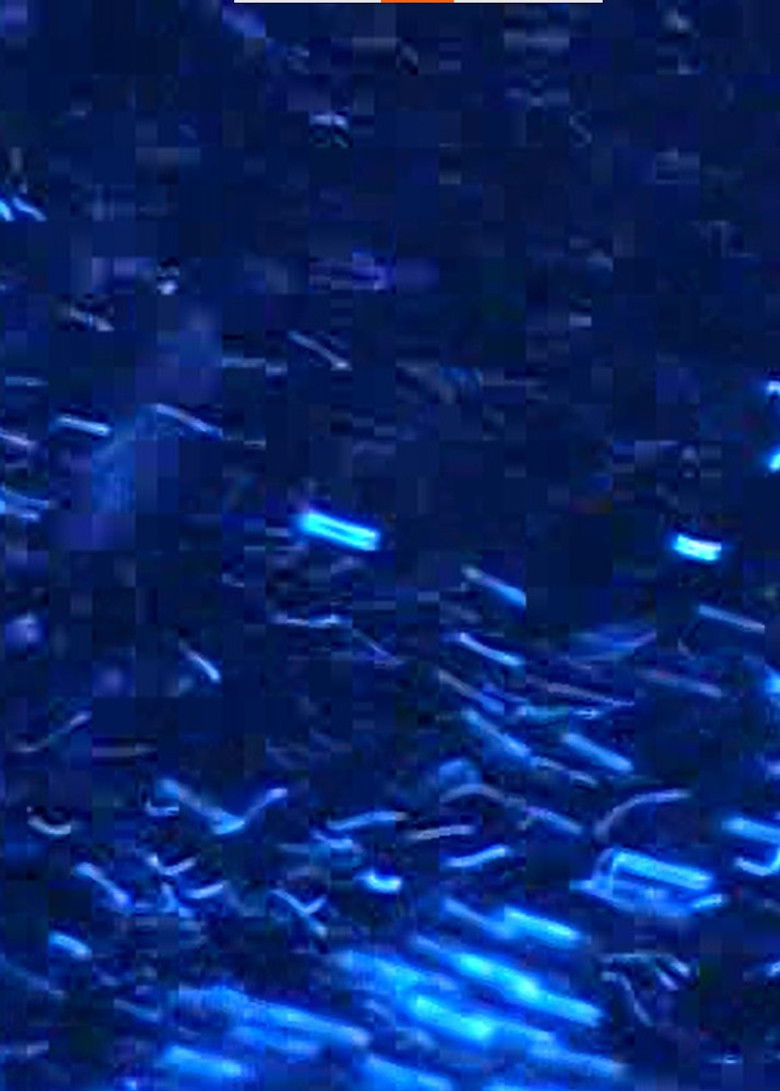 Imatge de fullmåne.