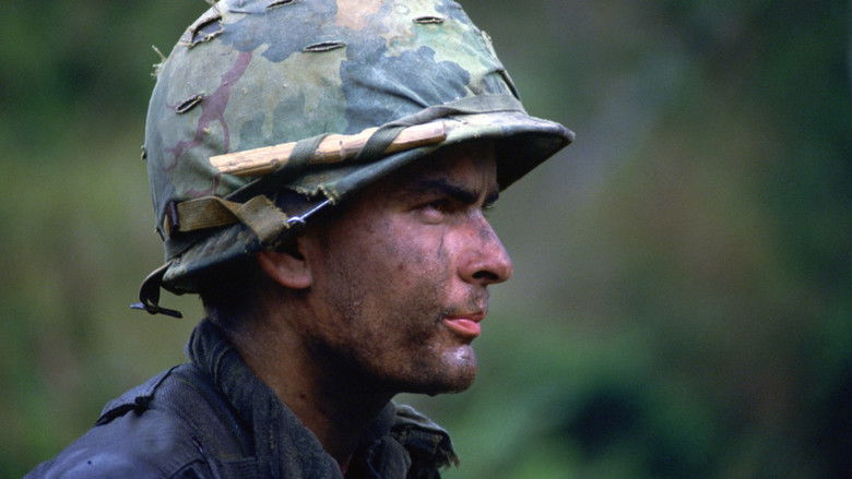 Vybtt9cpgdgearnuvwnms0woq4o