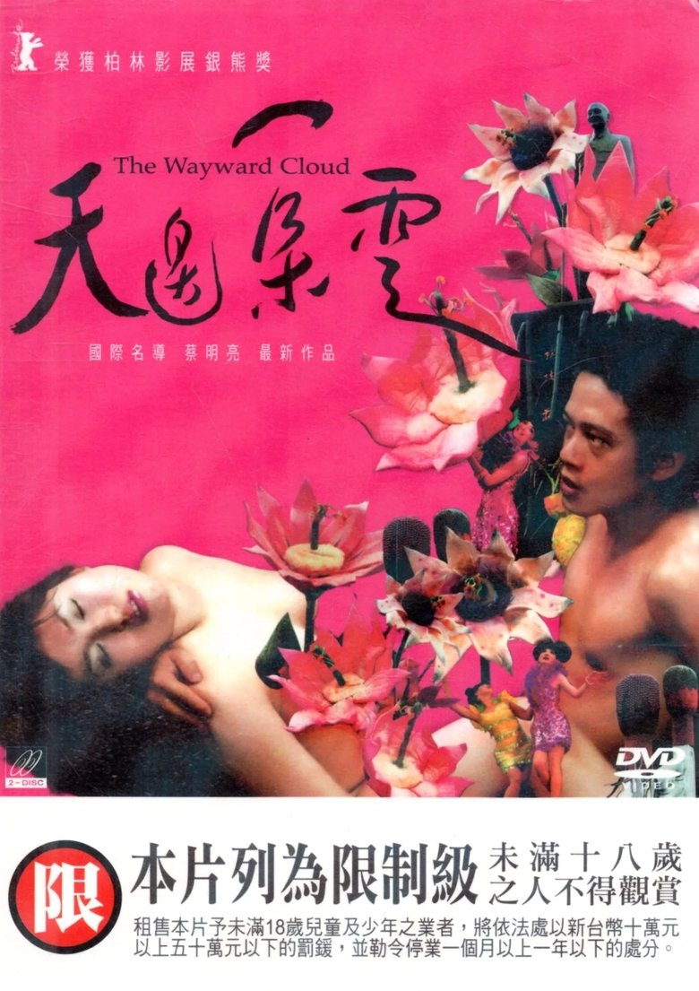 天邊一朵雲 (2005)