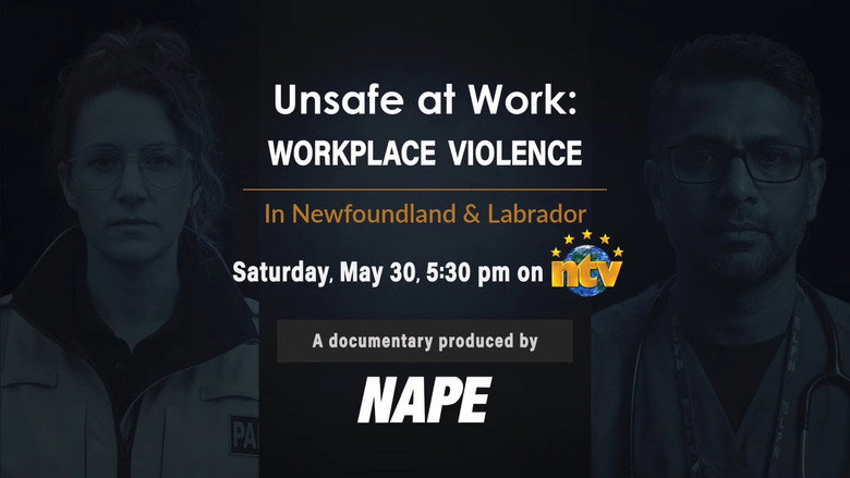 Fons de Unsafe at Work: Workplace Violence in NL