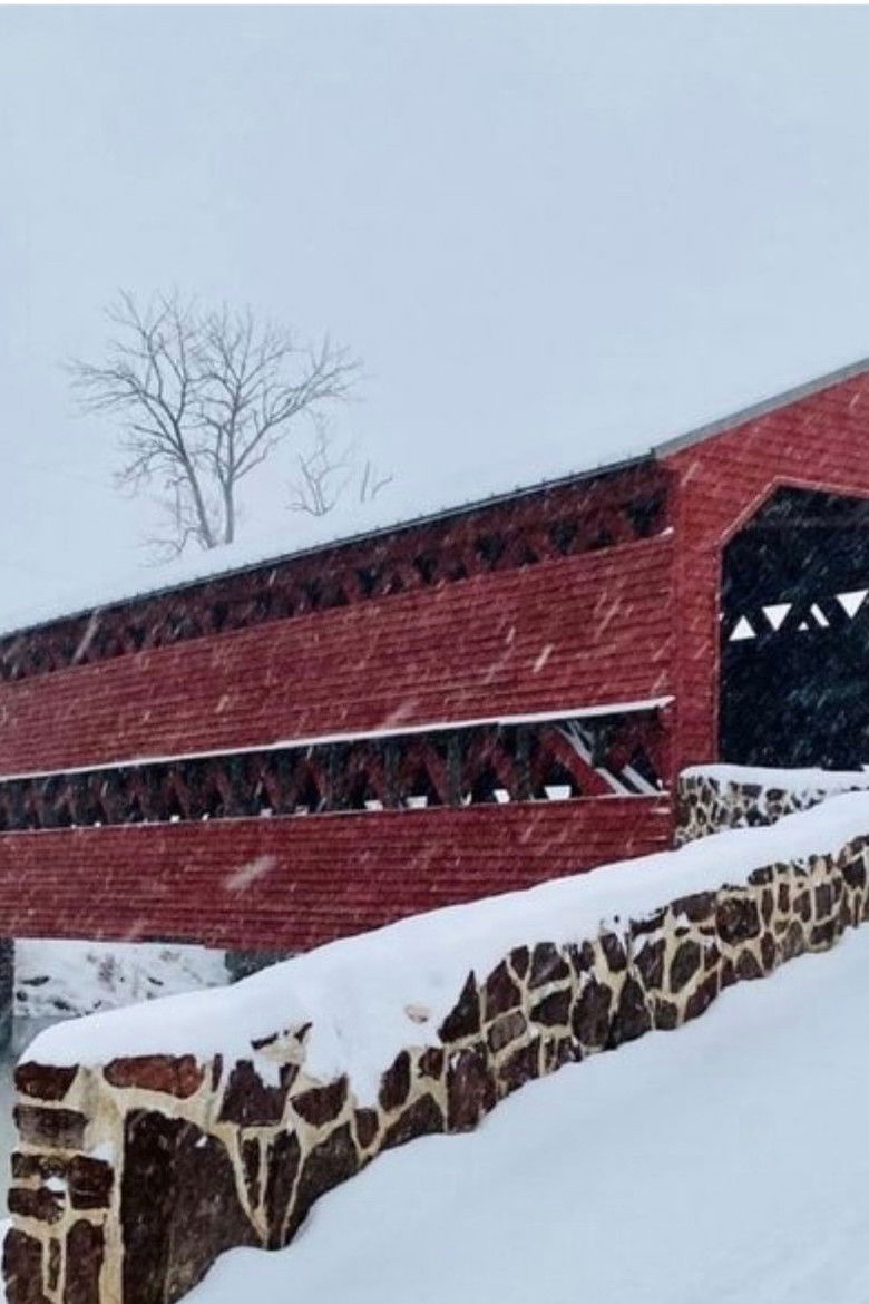 Imatge de A Gettysburg Christmas