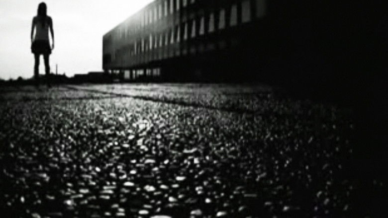 Gallery image from vzDJAYLkg2GI16IyTsxNn9S85zl.jpg