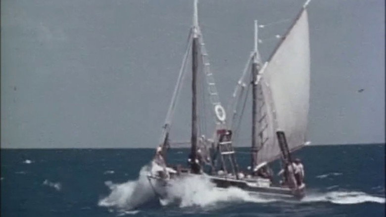 Imatge de Follow The Sun