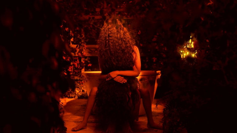 Image d'arrière-plan 6 du film बुलबुल