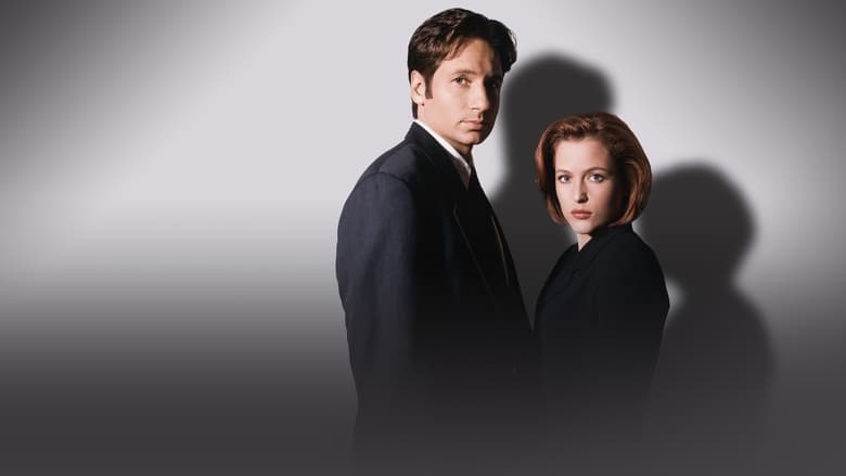 The X-Files (1993)