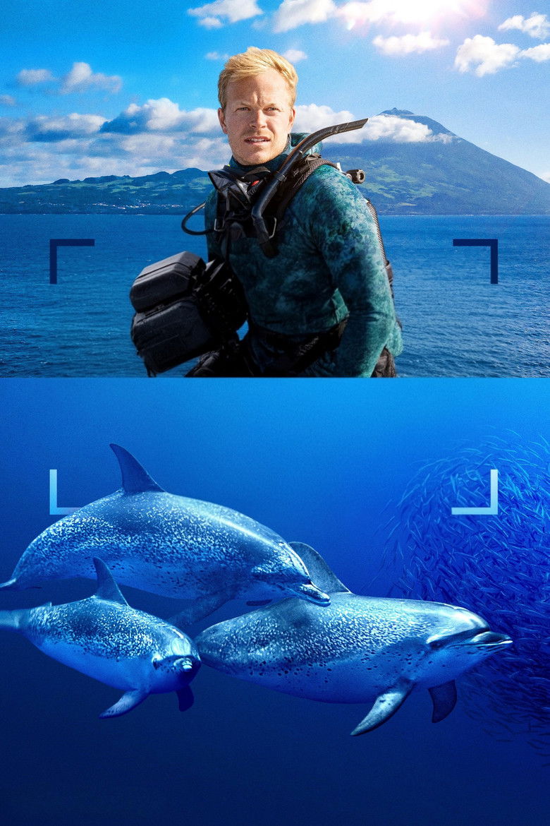 Imatge de Dolphins Up Close with Bertie Gregory