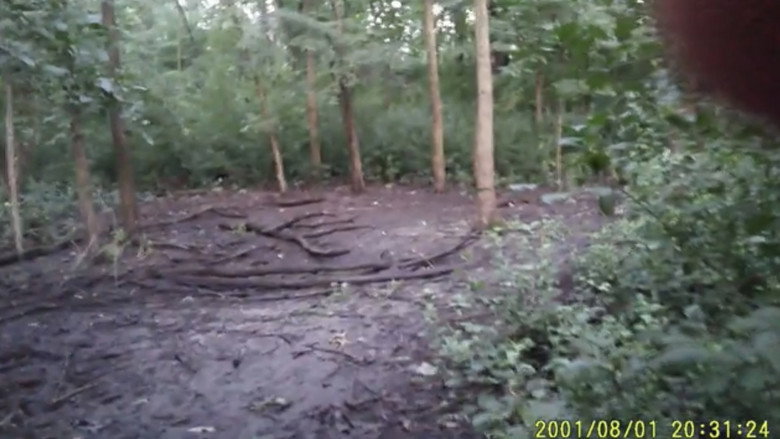 Imatge de The Wendigo