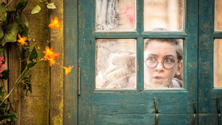 Gallery image from w1JJLdz8zwipQGSwJFv0Hn7HaUv.jpg