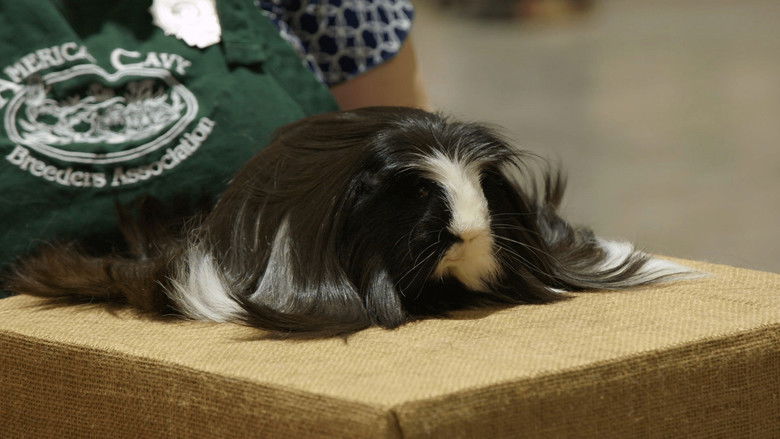 Still image for Going Fur Gold season 1 episode 6: The Right Fluff