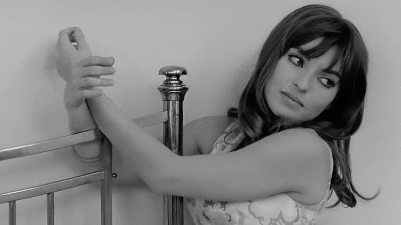 Trans-Europ-Express image 9