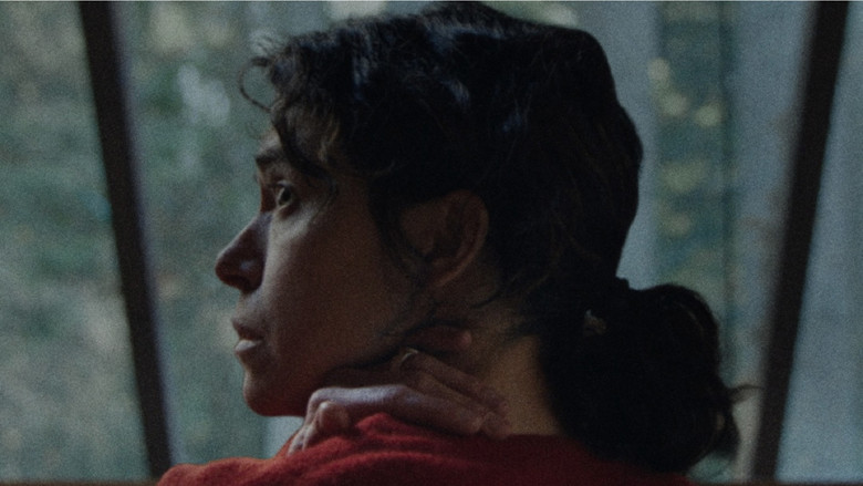 W1sdrggi3melwbcca8oge7aggsv