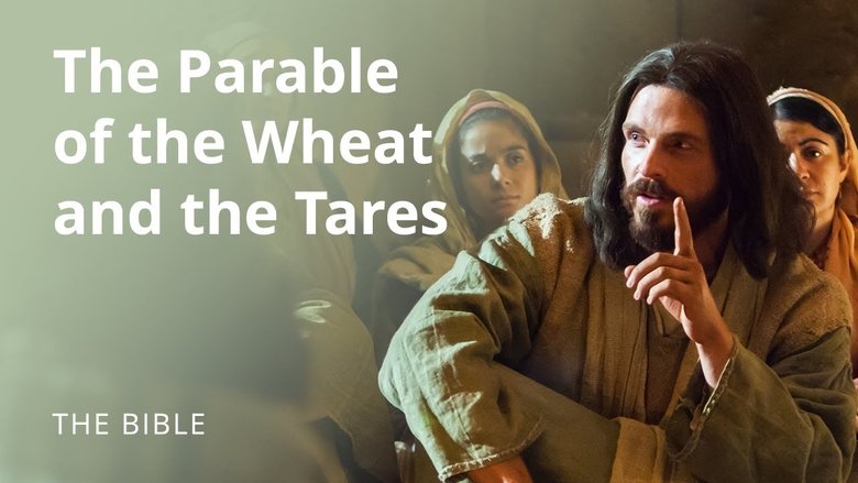 Still image for The Life of Jesus Christ season 1 episode 32: Matthew 13 | Parables of Jesus: The Parable of the Wheat and the Tares Still image for The Life of Jesus Christ season 1 episode 32: Matthew 13 | Parables of Jesus: The Parable of the Wheat and the Tares