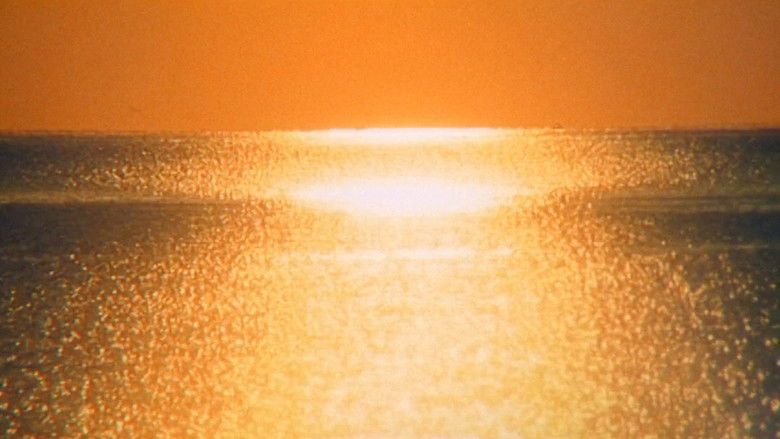 Imatge de La quimera de Yemayá