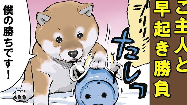 Still image for Doomsday with My Dog season 1 episode 45: It Happens with Pet Owners / English Lessons / Alarm Clock Still image for Doomsday with My Dog season 1 episode 45: It Happens with Pet Owners / English Lessons / Alarm Clock