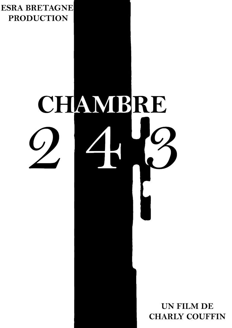 Imatge de Chambre 243