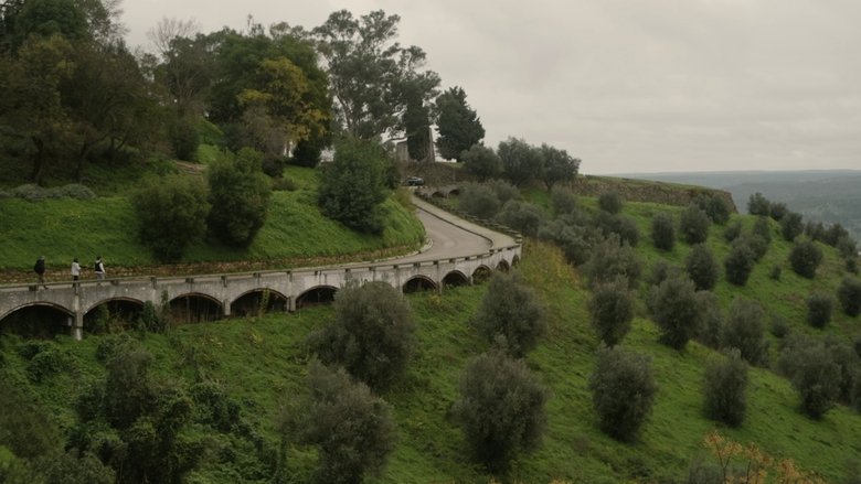 Gallery Image 9