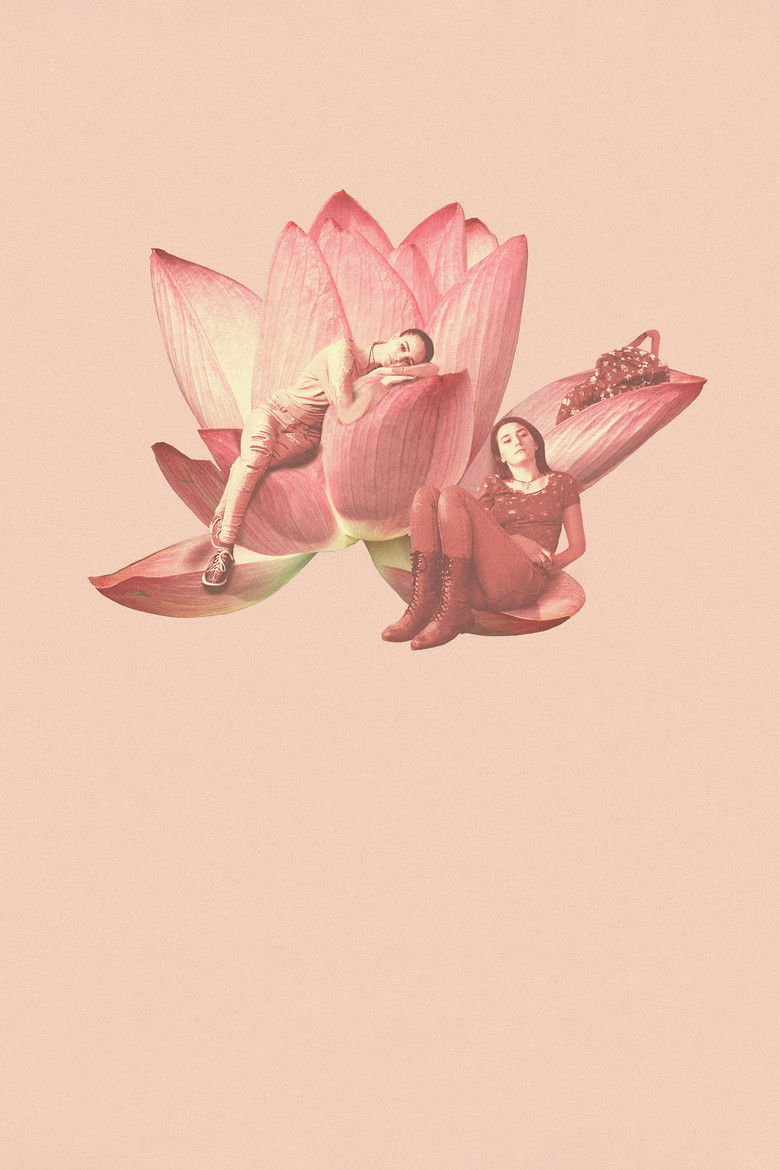 Imatge de Never Rarely Sometimes Always