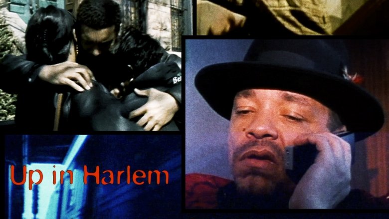 Gallery image from w4cL4Dz7PpQb7b6hiWm8FUOKZFw.jpg