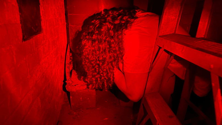 Gallery image from w5VMgF0y47H703CGq55l6kjjQuX.jpg